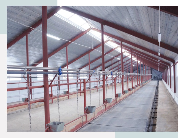 Строительство коровников в Горном-Алтайске от 622 руб.