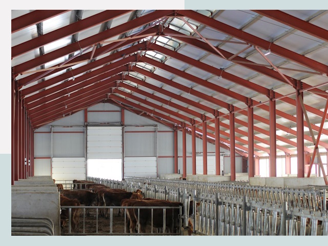 Строительство коровников в Горном-Алтайске