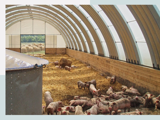 Строительство свинарников в Горном-Алтайске