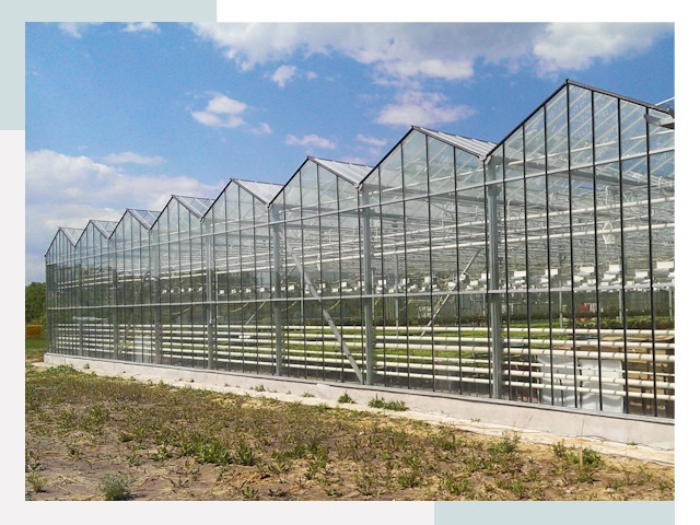 Строительство теплиц в Горно-Алтайск от 622 руб. за м²